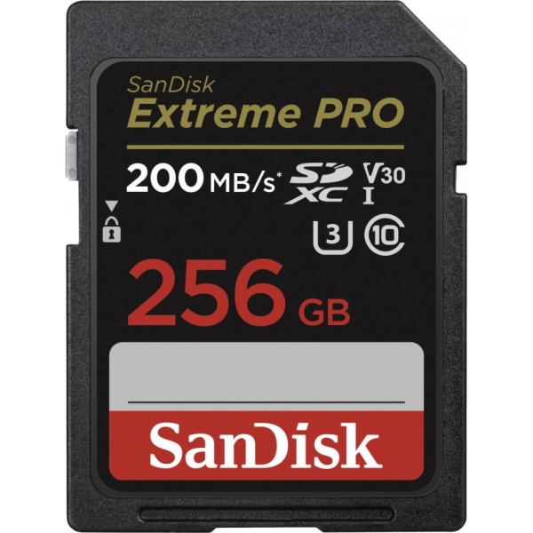 Sandisk Extreme Pro SDXC 256GB - Speiche #369998